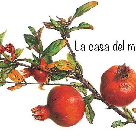 阿尔巴La Casa Del Melograno公寓 外观 照片